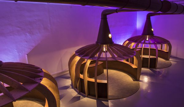 Showroom &amp; Lounge