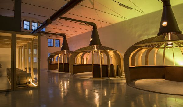 Showroom &amp; Lounge