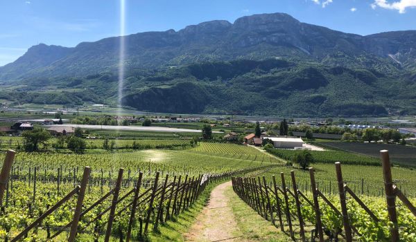 Showroom &amp; Lounge