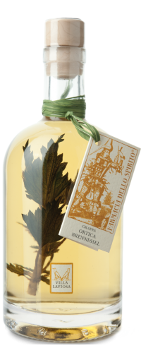 Nettles grappa Villa Laviosa | Distilleria Alto Adige